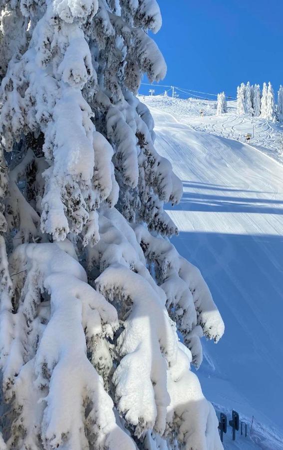 Olimpik House Jahorina Vila Exterior foto